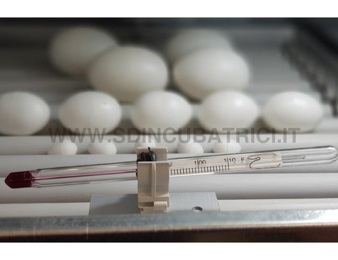 Incubatrice Fiem MG 50 BIRD Lcd Evo Plus Incubatrici Fiem