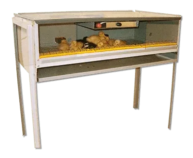 Gabbie 100% Made in Italy - SD Incubatrici 