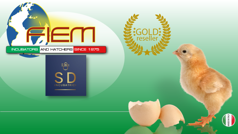 Schimmenti Distribuzione