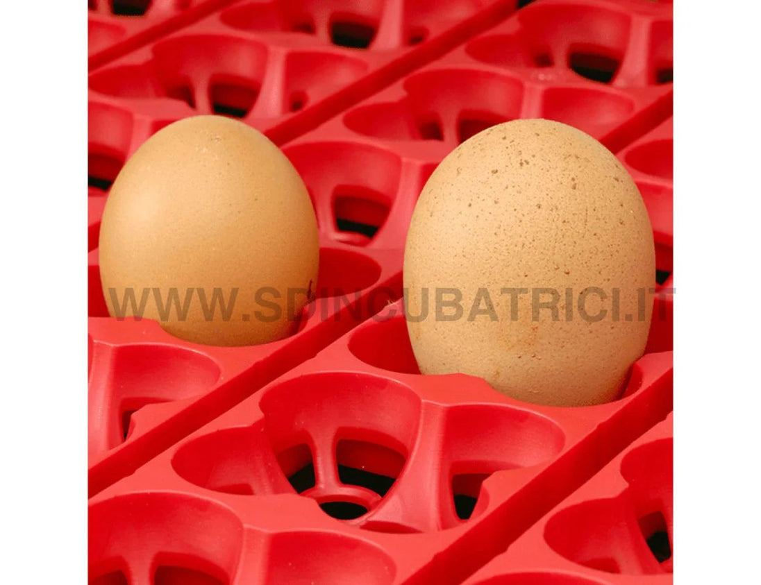 Incubatrice Digitale River Systems ET 12 con Girauova Automatico OVOMATIC - SD Incubatrici 