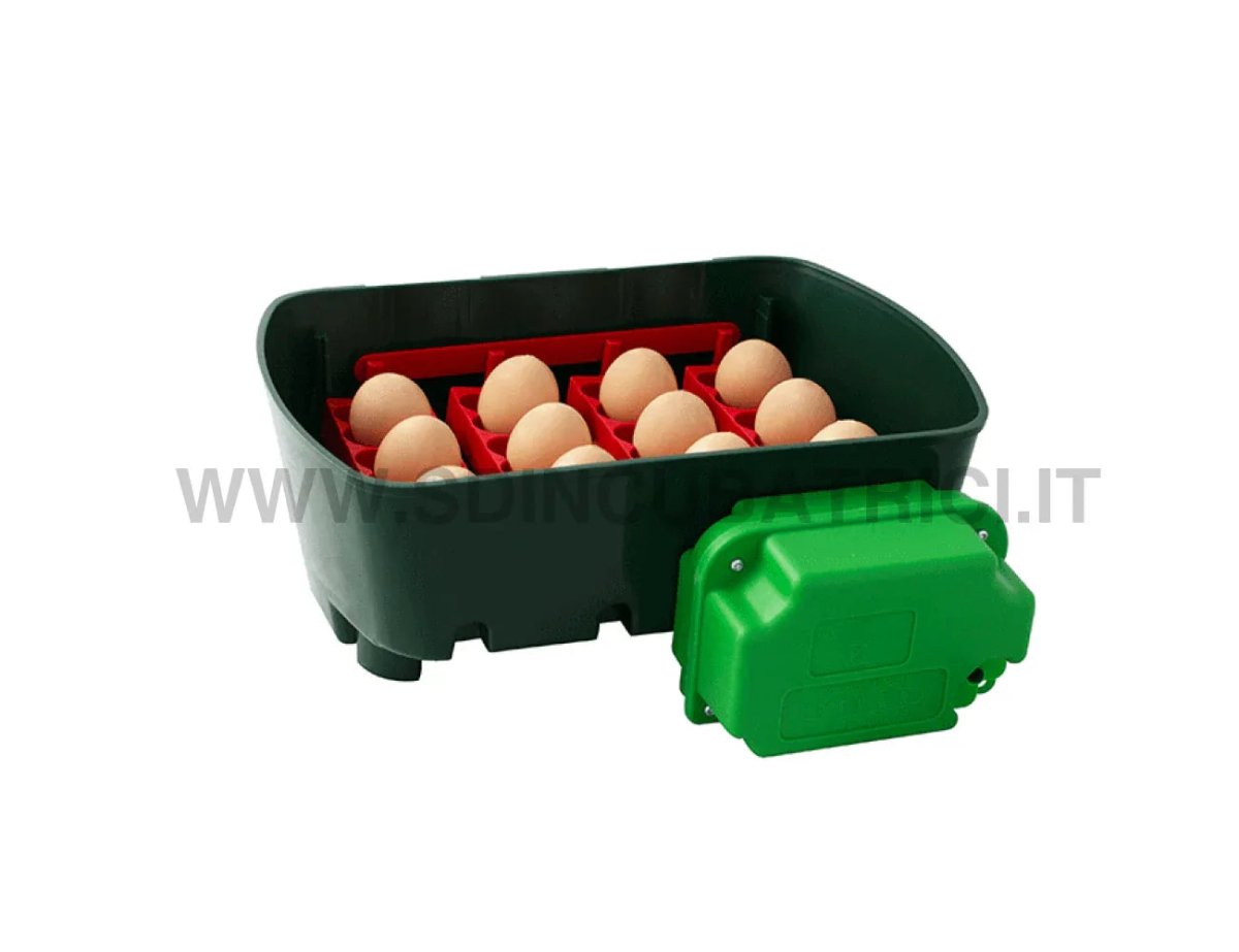 Incubatrice Digitale River Systems ET 12 con Girauova Automatico OVOMATIC - SD Incubatrici 