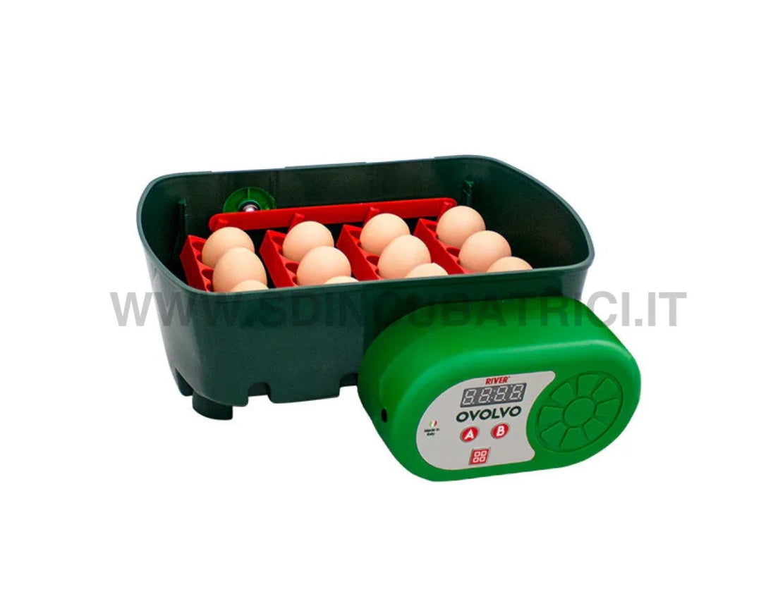 Incubatrice Digitale WiFi River Systems ET TOP 12 con Controllo Smart - SD Incubatrici 