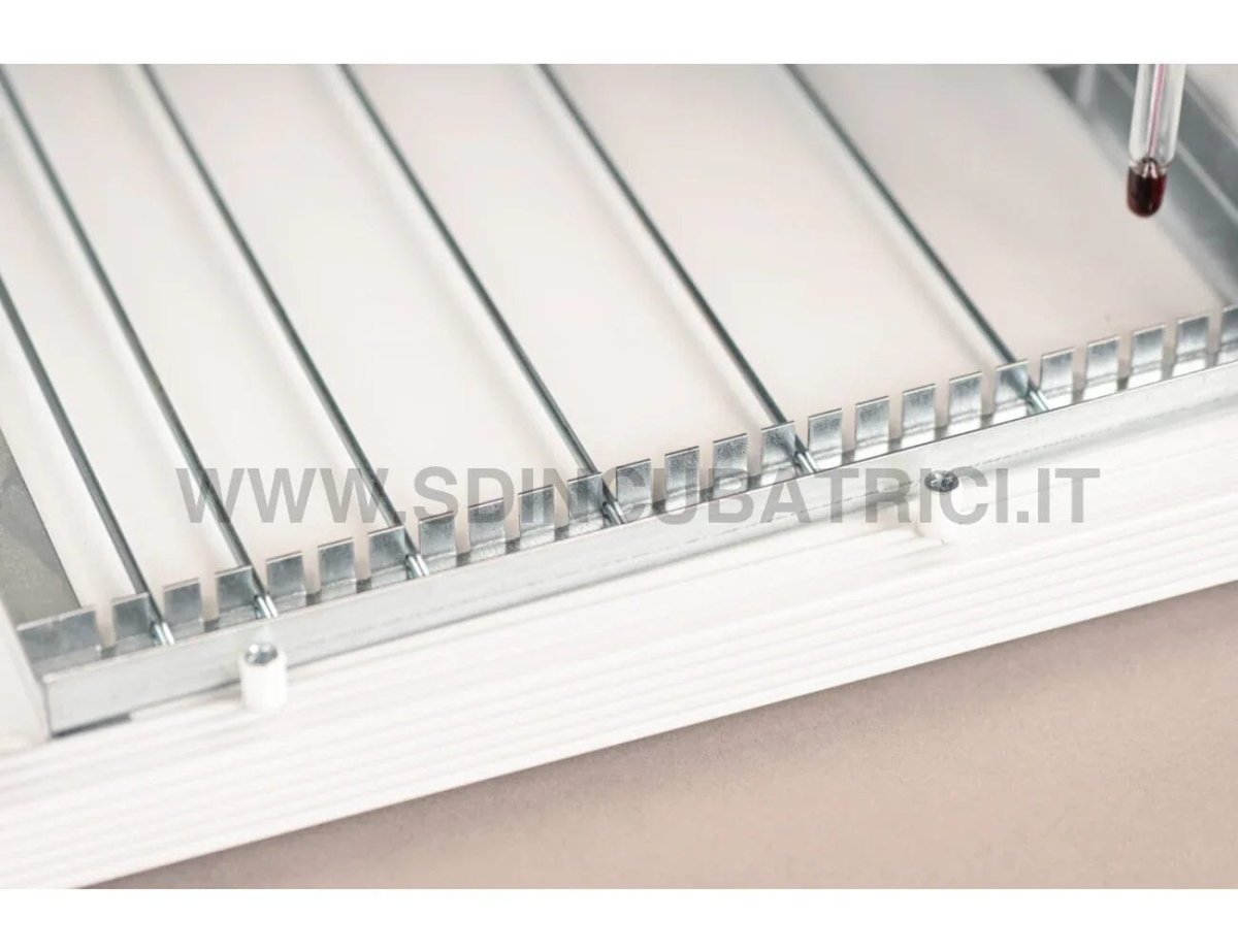 Incubatrice Fiem Cip Cip 28 con Girauova Automatico - Termostato Miniled Advanced - SD Incubatrici 