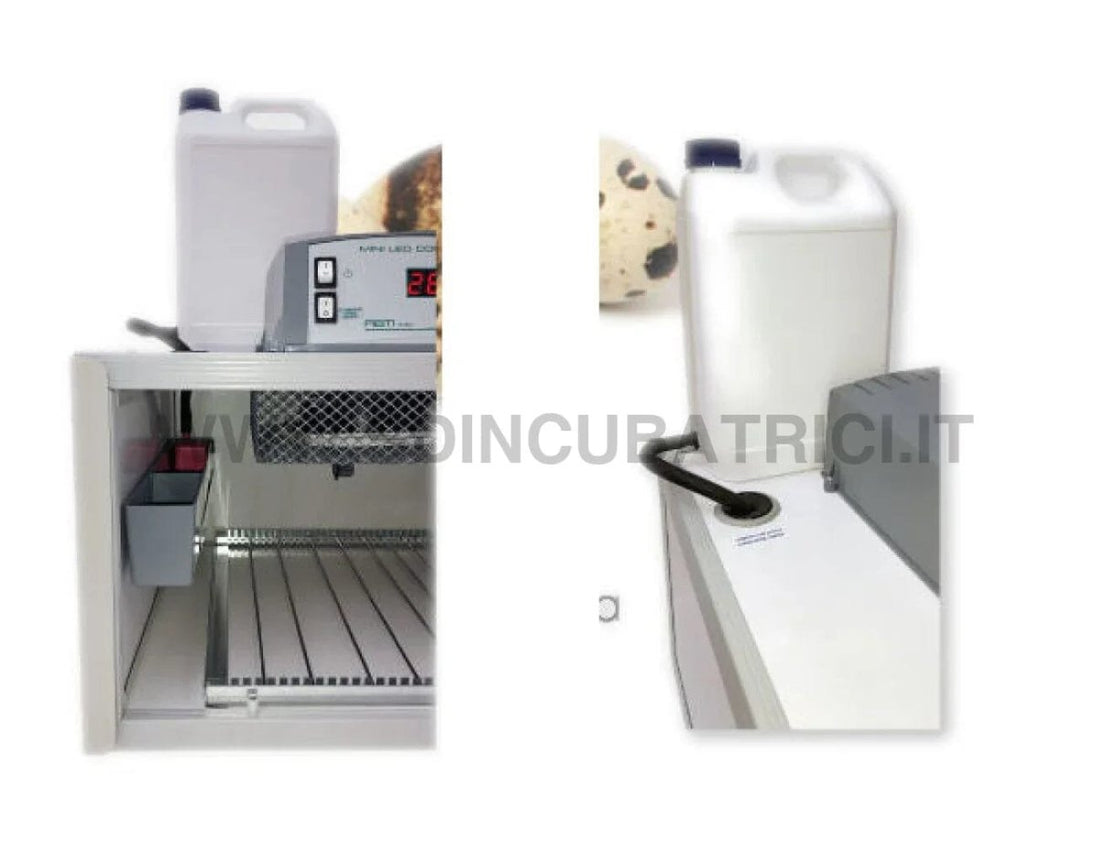 Incubatrice Fiem Cip Cip 40 con Girauova Automatico - Termostato Miniled Advanced - SD Incubatrici 