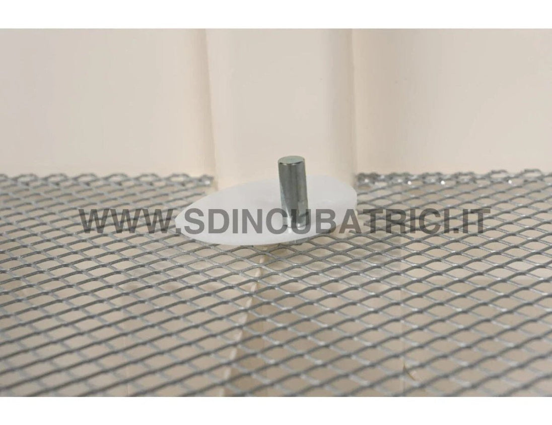 Incubatrice Fiem Cosmo 72 Evo Plus con Girauova Automatico - Termostato Lcd Evo Plus - SD Incubatrici 