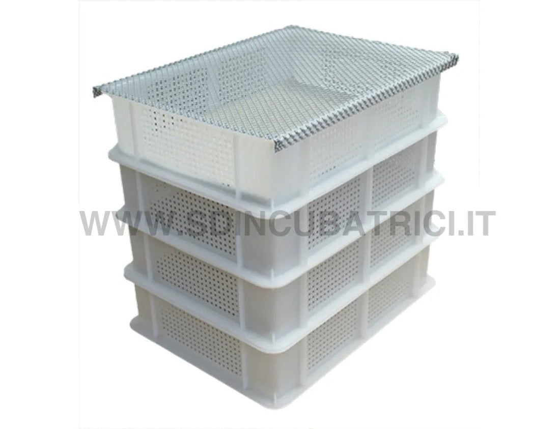 Incubatrice Fiem MG 100/150 Setter con Girauova Automatico - Carica Completa - SD Incubatrici 