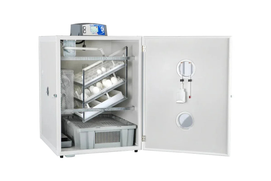Incubatrice Fiem MG 316 Neptunus con Lcd Evo Plus - Professionale Grande Capacità - SD Incubatrici 