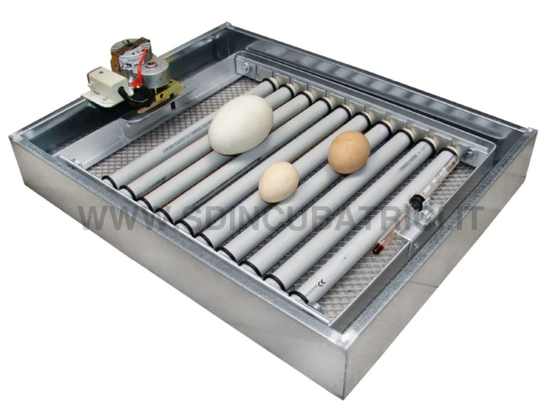 Incubatrice Fiem MG 50 BIRD per Uccelli Esotici - Controllo Preciso Temperatura e Umidità - SD Incubatrici 