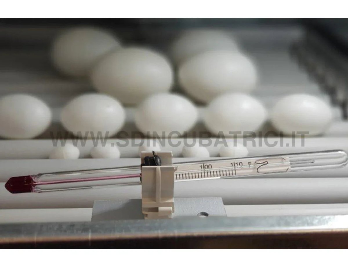 Incubatrice Fiem MG 50 BIRD per Uccelli Esotici - Controllo Preciso Temperatura e Umidità - SD Incubatrici 