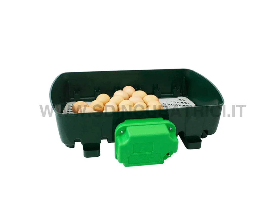 Incubatrice River Systems ET 24 con girauova automatico