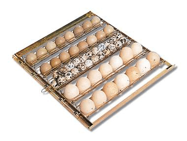 Cesto cova per uova universale Mg 70/100- 100/150 - 140/200