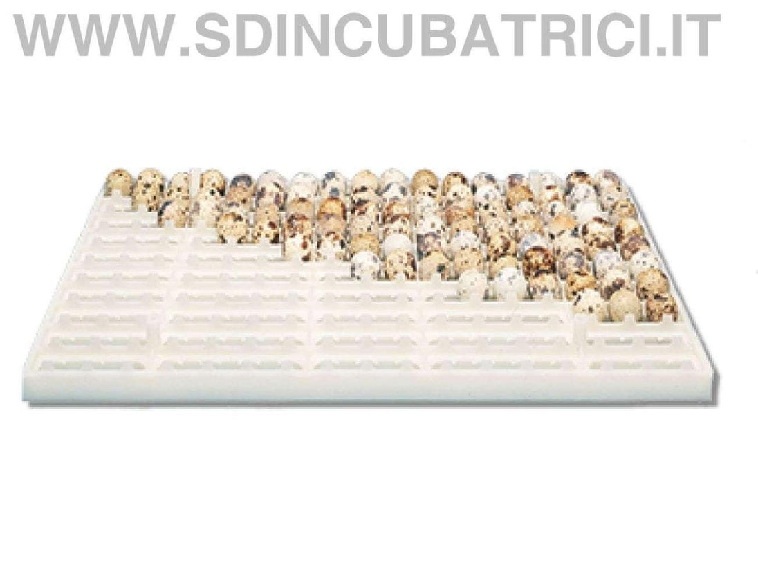 Cesto Cova per Uova di Quaglia Fiem MG 244 Mercurius - MG 316 Neptunus - MG 432 Saturnus - Ricambio Originale - SD Incubatrici 