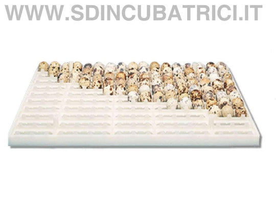 Cesto Cova per Uova di Quaglia Fiem MG 244 Mercurius - MG 316 Neptunus - MG 432 Saturnus - Ricambio Originale - SD Incubatrici 